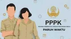 Waspada! Pengumuman BKN tentang PPPK Paruh Waktu yang Bisa Mengubah Karir PNS