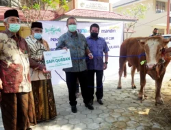 Bank Mandiri Salurkan 2.529 Hewan Kurban Idul Adha