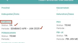 Bansos PKH BPNT Tahap 2 Cair Mei 2026: Cara Cek Penerima dan Nominalnya