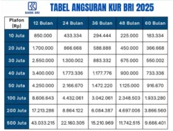 BI Rate Naik, BRI Finance Sesuaikan Pricing Pembiayaan secara Bertahap
