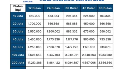 BI Rate Naik, BRI Finance Sesuaikan Pricing Pembiayaan secara Bertahap