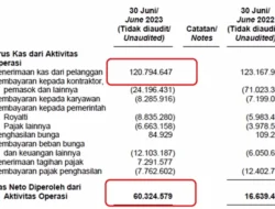 BIPI Pangkas Utang, tapi Arus Kas Operasi Masih Negatif