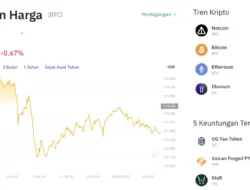 Bitcoin Tertahan di USD79 Ribu, Mulai Kehilangan Tenaga?