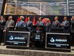 Bos AMMN Serok Saham Bertahap, Harga Langsung Melonjak Delapan Persen