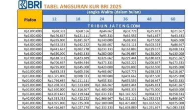 BRI Bakal Dapat Tambahan Kuota KUR Perumahan 2026, Penyaluran Tembus Rp 9,2 Triliun