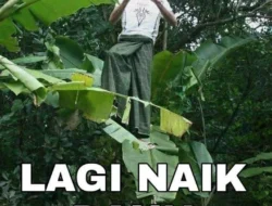 BRMS Lagi Naik Daun, tapi Pasar Mulai Overoptimistis