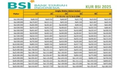BSI Pastikan Kesiapan Dana Pelunasan Dua Seri Sukuk pada Juni-Juli 2026