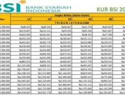 BSI Pastikan Kesiapan Dana Pelunasan Dua Seri Sukuk pada Juni-Juli 2026
