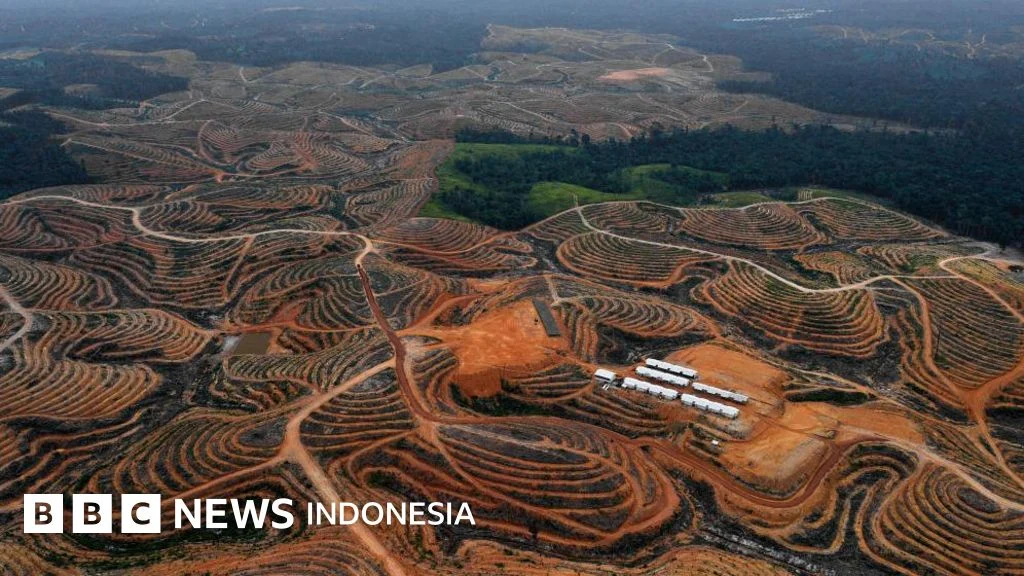 BUMN Eksportir Tunggal Berisiko Perparah Deforestasi dan Konflik Sosial di Asia