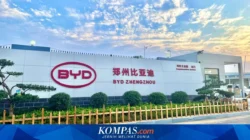 BYD Hadapi Tekanan, Ekspansi Global Jadi Penopang