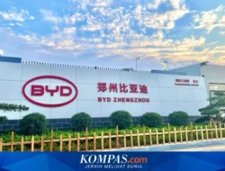 BYD Hadapi Tekanan, Ekspansi Global Jadi Penopang