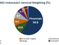 CUAN Ambruk Setelah Dicoret MSCI: Analisis dan Proyeksi Harga