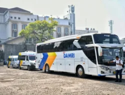 DAMRI Tambah 10 Bus Baru untuk Jalur 3 Negara ASEAN
