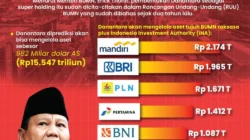 Danantara Orkestrasi Transformasi Digital Seluruh BUMN