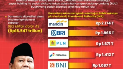Danantara Orkestrasi Transformasi Digital Seluruh BUMN
