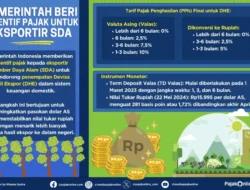 DHE SDA Wajib Masuk Sistem Keuangan RI, Pemerintah Beri Insentif Pajak 0 Persen