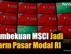 DPR: Keluarnya Saham RI dari MSCI Jadi Alarm Kredibilitas Pasar Modal