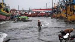 Fenomena Pink Moon: Warga Pesisir Jakarta Dihimbau Meningkatkan Kesiapsiagaan