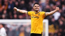 Fulham FC Siap Tantang Wolves, Sementara Alonso Sepakat Jadi Pelatih Chelsea