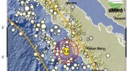 Gempa Hari Ini: Buru Selatan Diguncang Gempa 4,8 Magnitudo, Berpotensi Tsunami?