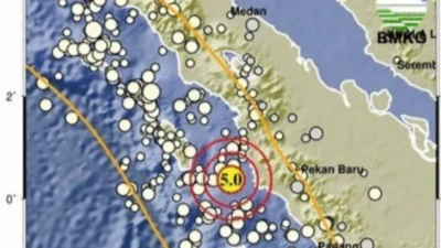 Gempa Hari Ini: Buru Selatan Diguncang Gempa 4,8 Magnitudo, Berpotensi Tsunami?