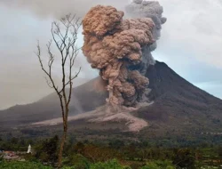 Gunung Dukono Mengguncang Halmahera Utara: Kolom Abu Mencapai 1.600 Meter, Warga Dihimbau Waspada