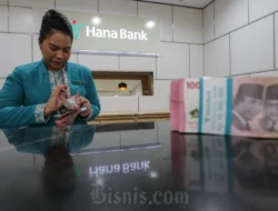 Hana Bank Catat Laba Bersih Rp 200,78 Miliar pada Kuartal I-2026