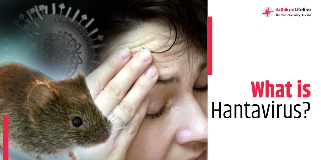 Hantavirus: Risiko yang Ditipu dan Fakta yang Harus Anda Ketahui