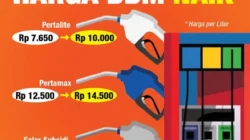 Harga BBM Melonjak, DPR Desak PLN Tinggalkan Pembangkit Diesel