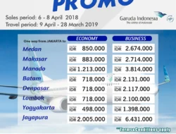 Harga Tiket Pesawat Naik, MSIG: Asuransi Perjalanan Tetap Tumbuh
