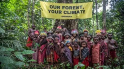 Hutan Adalah Mama, Hutan Rusak Maka Manusia Juga Rusak: Pentingnya Perspektif Perempuan dalam Liputan Lingkungan