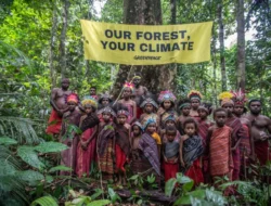 Hutan Adalah Mama, Hutan Rusak Maka Manusia Juga Rusak: Pentingnya Perspektif Perempuan dalam Liputan Lingkungan