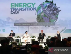 IEEFA: Masa Depan Danantara Bergantung pada Transisi Energi