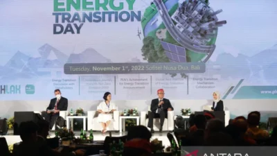 IEEFA: Masa Depan Danantara Bergantung pada Transisi Energi