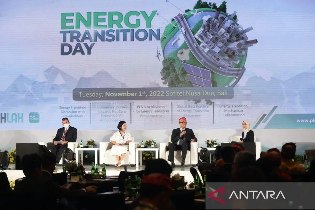 IEEFA: Masa Depan Danantara Bergantung pada Transisi Energi