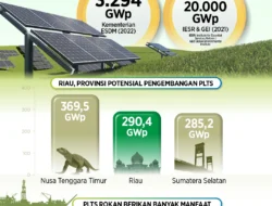 Indonesia Siapkan Perpres untuk Dukung Pengembangan Energi Surya