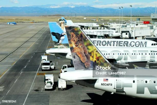 Insiden Mengerikan di Bandara Denver: Pesawat Frontier Airlines Tabrak dan Menewaskan Seseorang di Landasan Pacu