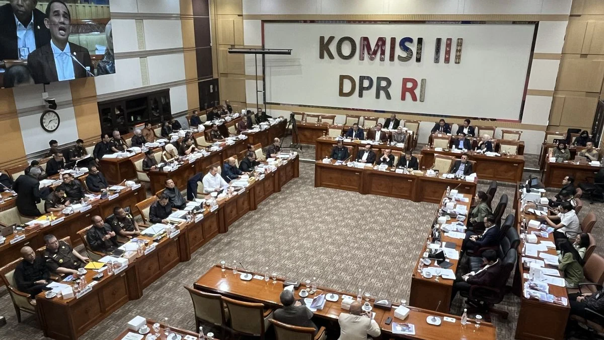 Jaksa Jangan Cari-Cari Kesalahan, Anggota DPR Peringatkan Soal Amsal Sitepu