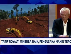 Kenaikan Royalti Minerba Masih Dikaji, Negara Ingin Ikut Nikmati Lonjakan Harga Nikel