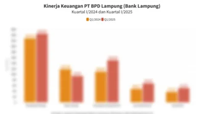 Kinerja BPD Terus Tumbuh, Total Aset Capai Rp 1.036 Triliun pada Kuartal I-2026
