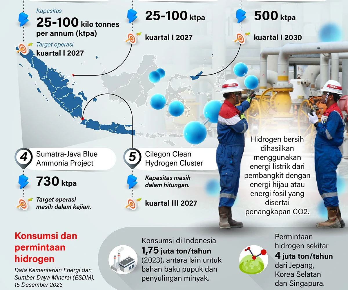 Kinerja Lingkungan Memburuk, PGN Mau Tambah Emisi Lewat Proyek Hidrogen