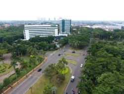 Laris, Marketing Sales LPCK Melejit 52 Persen di Kuartal I