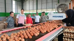 MBG Wajib Gunakan Produk Lokal, Termasuk Telur, untuk Mendukung Ekonomi Masyarakat