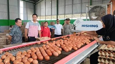 MBG Wajib Gunakan Produk Lokal, Termasuk Telur, untuk Mendukung Ekonomi Masyarakat