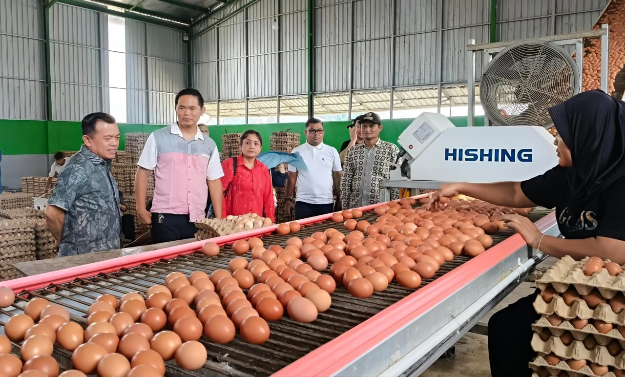 MBG Wajib Gunakan Produk Lokal, Termasuk Telur, untuk Mendukung Ekonomi Masyarakat