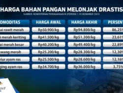 Mengapa Harga Plastik Melonjak Drastis? Ini Faktanya