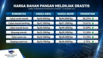 Mengapa Harga Plastik Melonjak Drastis? Ini Faktanya