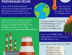 Mengapa Negara Berkembang Selalu Disetir Isu ESG oleh Modal Global?
