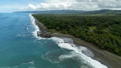 Mengungkap Gem-Gem Tersembunyi di Dunia Film dan Olahraga
