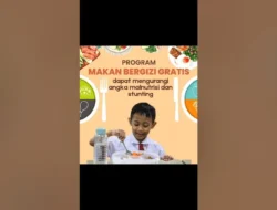 Mengurai Angka dan Logistik Program Makan Bergizi Gratis